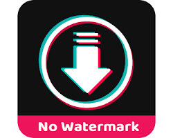 Best TikTok Video Downloaders 2025 (Fast, Free & No Watermark)